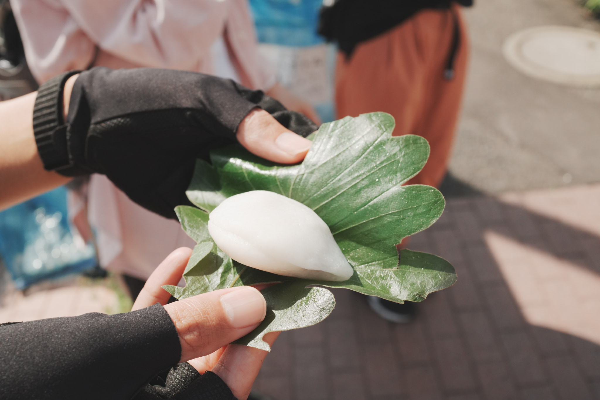 菓匠明美のかしわ餅